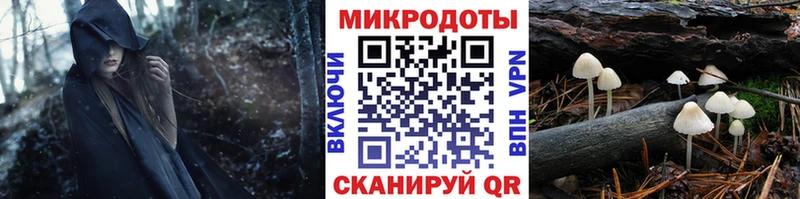 Псилоцибиновые грибы GOLDEN TEACHER  купить наркоту  Невинномысск 